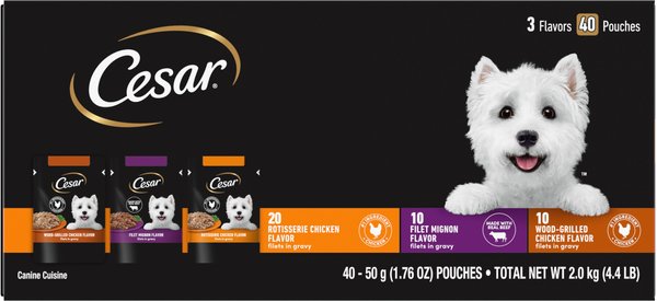 CESAR Variety Pack Filet Mignon Rotisserie Chicken Wood Grilled Chicken Flavor Filets in Gravy Wet Dog Food 1.76 oz mini pouch case of 40 Chewy