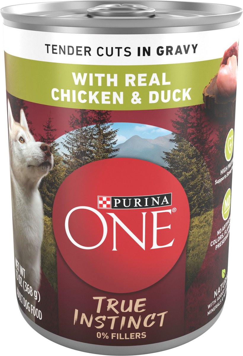 Purina one hot sale canned dog food