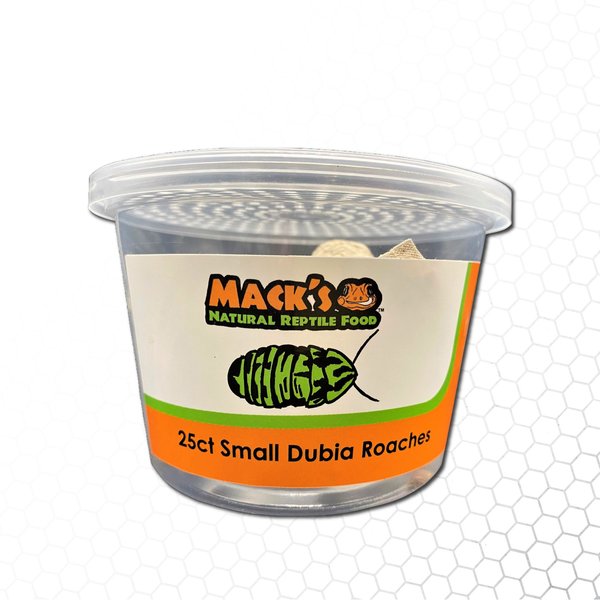 Mack's Natural Reptile Food Small Dubia Roaches Live Feed Reptile Food, 1/8 to 1/4-in, 25 count