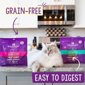 Stella & Chewy's Chick Chick Chicken Dinner Morsels Freeze-Dried Raw Cat Food, 18-oz bag
