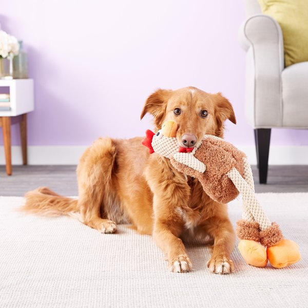 GoDog Fuzzy Wuzzy Chew Guard Sheep Squeaky Plush Dog Toy