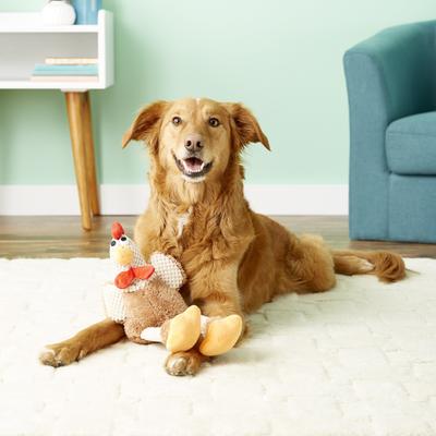 Show full view: GoDog Checkers Chew Guard Rooster Squeaky Plush Dog Toy, Brown, Small slide 3 of 8