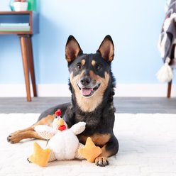 GoDog Checkers Chew Guard Rooster Squeaky Plush Dog Toy, Small slide 2 of 5