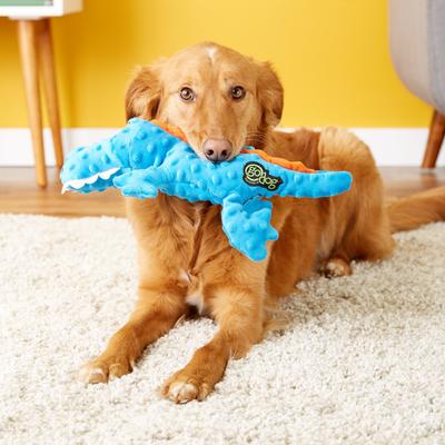 Show full view: GoDog Gators Chew Guard Squeaky Plush Dog Toy, Blue, Large slide 3 of 8