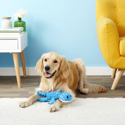 Show full view: GoDog Gators Chew Guard Squeaky Plush Dog Toy, Blue, Large slide 4 of 8