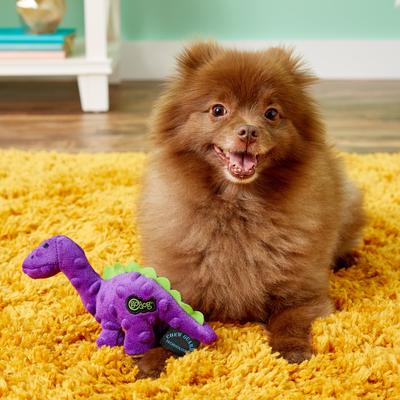 Show full view: GoDog Just for Me Chew Guard Bruto Squeaky Plush Dog Toy slide 2 of 7