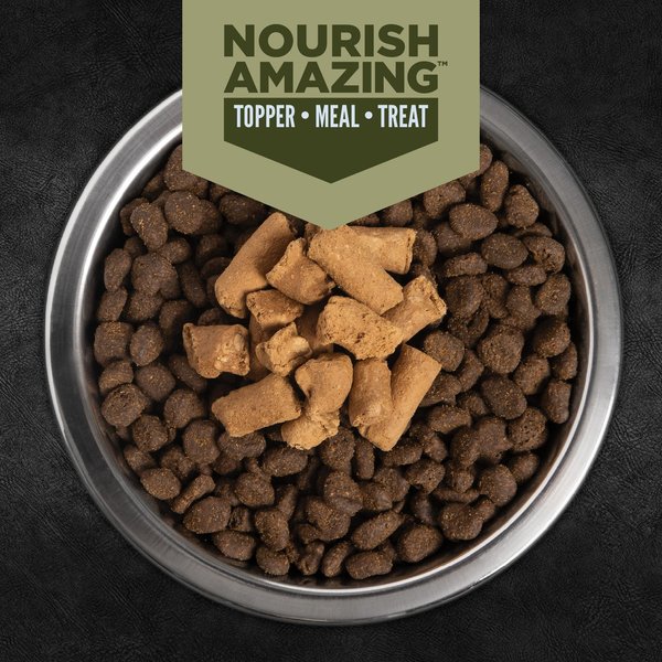 Show full view: ORIJEN Tundra Epic Bites Freeze-Dried Dry Dog Food, 6-oz bag slide 12 of 18