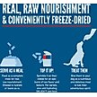 Show in main carousel: ORIJEN Original Epic Bites Freeze-Dried Dry Dog Food, 6-oz bag slide 10 of 17