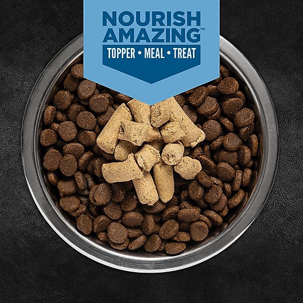Show full view: ORIJEN Original Epic Bites Freeze-Dried Dry Dog Food, 6-oz bag slide 12 of 17