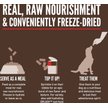 Show in main carousel: ORIJEN Regional Red Epic Bites Freeze-Dried Dry Dog Food, 6-oz bag slide 10 of 17