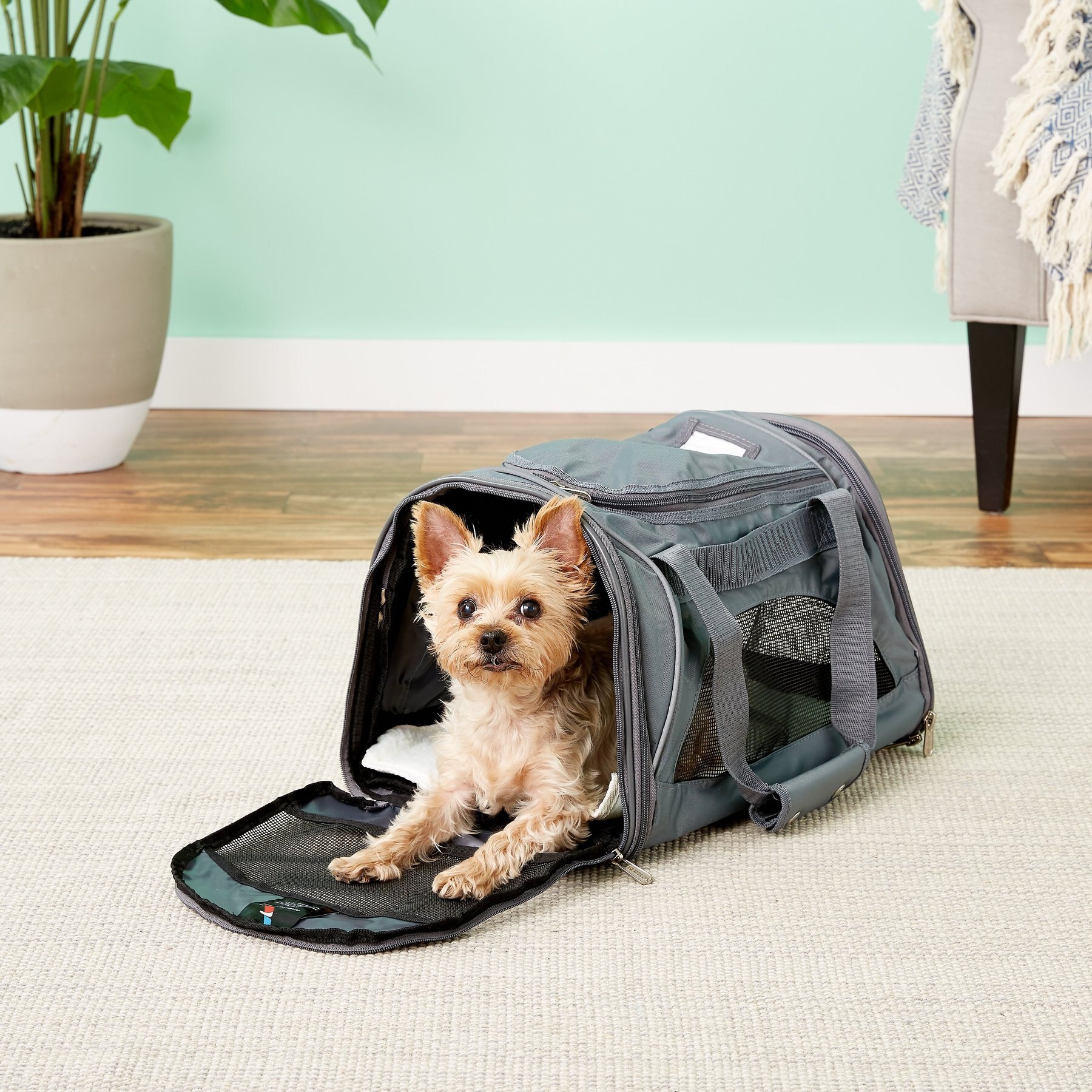 Sherpa Original Deluxe Lattice Stitch Travel Pet Carrier, Airline Approved  - Black, Medium, Medium - Baker's