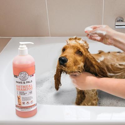 Show full view: Paws & Pals Oatmeal, Sweet Basil & Turmeric Shampoo, 20-fl oz bottle slide 6 of 8