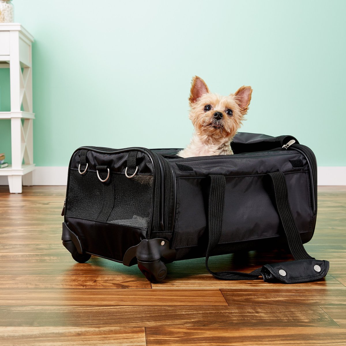 Pet carrier clearance with wheels