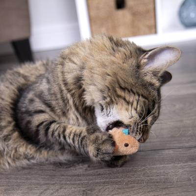 Show full view: SmartyKat Chickadee Chirp Electronic Bird-Sound Cat Toy slide 7 of 9