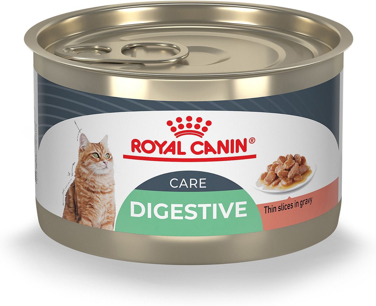 Royal Canin Feline Care Nutrition Digestive Care Adult Gravy Wet Cat Food