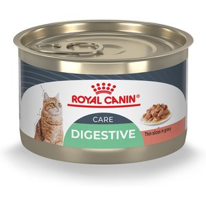 Royal Canin Feline Care Nutrition Digestive Care Adult Gravy Wet Cat Food, 5.1-oz can, case of 24