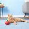 Show in main carousel: Yeowww! Catnip Apple Cat Toy slide 4 of 6