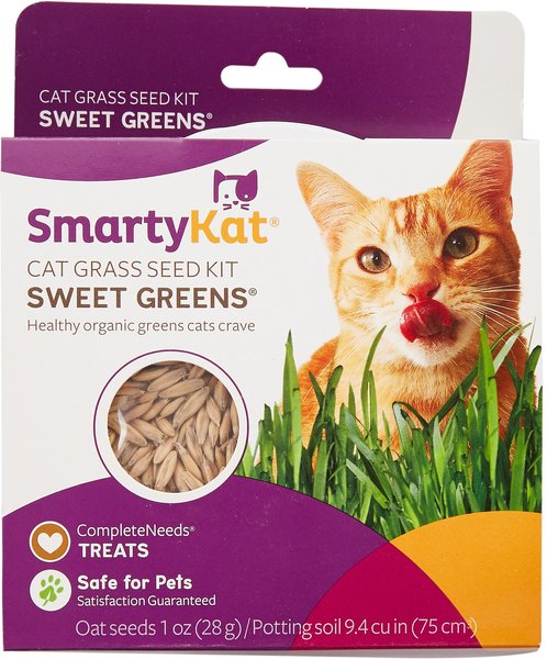 SmartyKat Sweet Greens Cat Grass Seed Kit, 1-oz bag slide 1 of 4