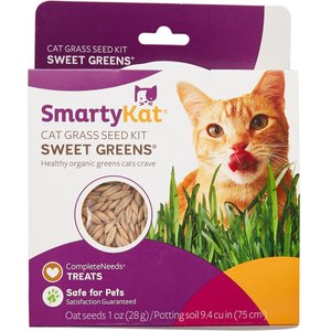 SmartyKat Sweet Greens Cat Grass Seed Kit, 1-oz