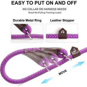 FIDA Rope Slip Training Dog Leash, 6-ft long, 1/2-in wide, Purple