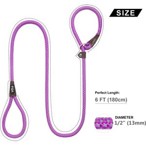 FIDA Rope Slip Training Dog Leash, 6-ft long, 1/2-in wide, Purple