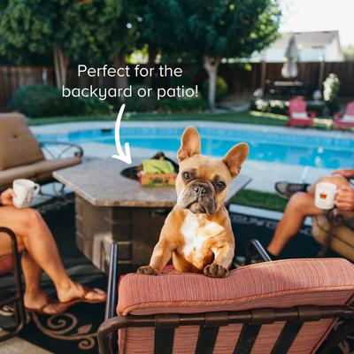 Show full view: Earth Rated Dog Poop Bags, Thick Grab & Go Single Roll, Lavender Scented, 600 Bags slide 7 of 9