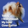 Show in main carousel: Vibeful Wild Alaskan Salmon Oil Liquid Skin & Coat Supplement for Dogs & Cats, 8-oz slide 6 of 8
