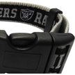 Pets First Las Vegas Raiders Hard Nylon Goal Post Dog Chew Toy, Yellow