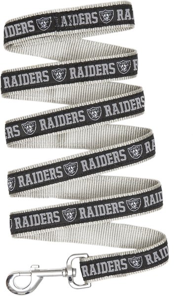 Pets First NFL Nylon Dog Leash, Oakland Raiders, Small: 4-ft long, 3/8-in wide slide 1 of 4