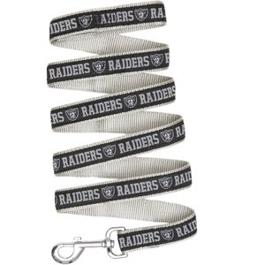 Pets First NFL Nylon Dog Leash, Oakland Raiders, Small: 4-ft long, 3/8-in wide