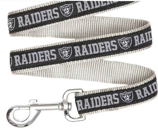 Pets First NFL Nylon Dog Leash, Las Vegas Raiders, Large: 6-ft long, 1-in wide slide 1 of 4