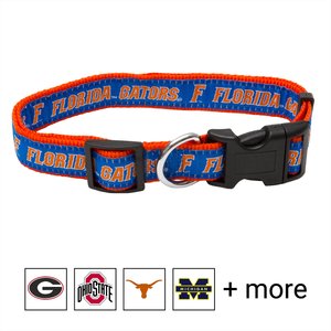 Pets First NCAA Nylon Dog Collar, Florida Gators, Small: 6 to 12-in neck, 3/8-in wide