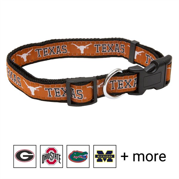 Pets First NCAA Nylon Dog Collar, Texas Longhorns, Small: 6 to 12-in neck, 3/8-in wide slide 1 of 5