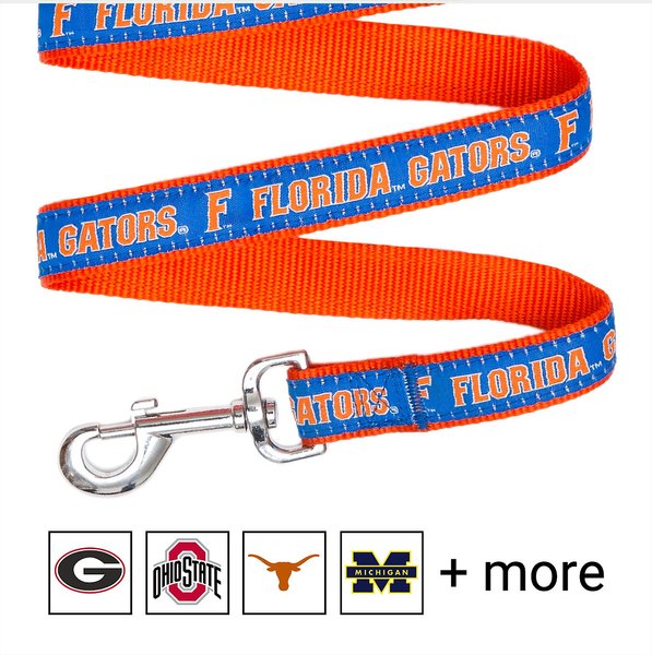 Pets First NCAA Nylon Dog Leash, Florida Gators, Small: 4-ft long, 3/8-in wide slide 1 of 5