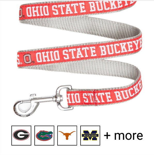 Pets First NCAA Nylon Dog Leash, Ohio State Buckeyes, Small: 4-ft long, 3/8-in wide slide 1 of 5