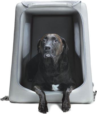 Show full view: Diggs Enventur Inflatable Travel Dog Kennel, Grey, Medium slide 6 of 7