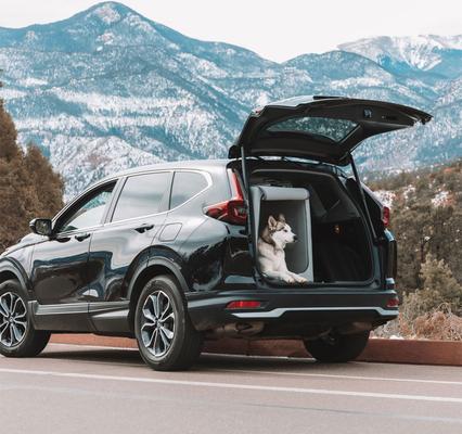 Show full view: Diggs Enventur Inflatable Travel Dog Kennel, Grey, Large slide 2 of 7