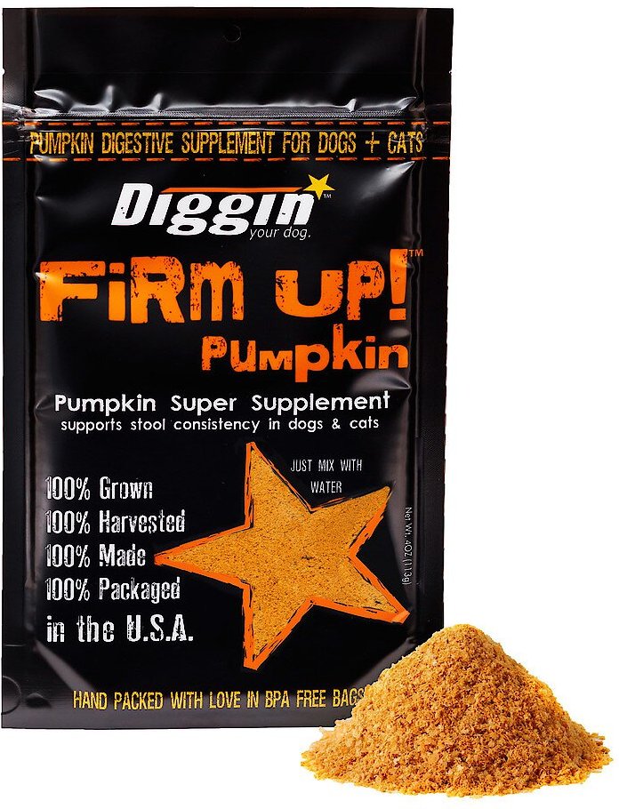 Diggin your dog shop firm up pumpkin