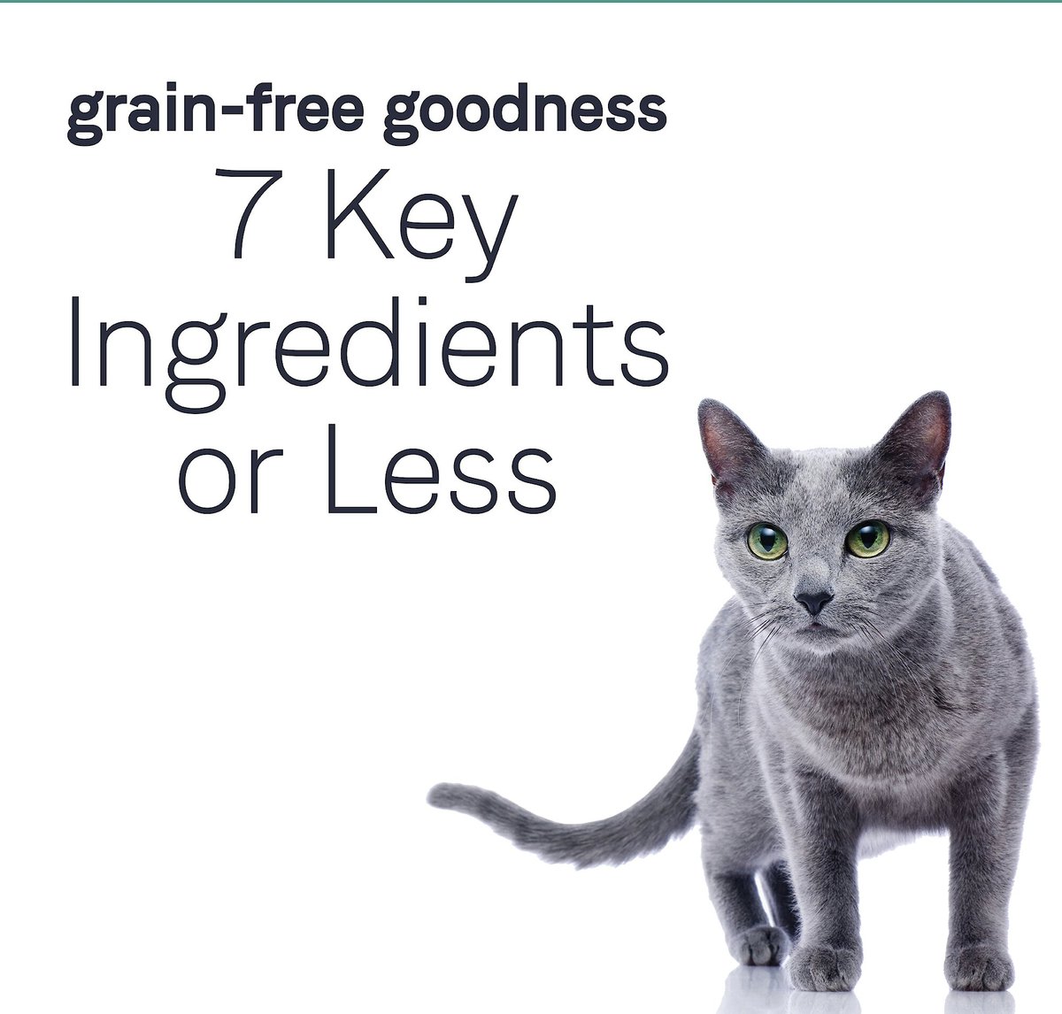 CANIDAE Grain Free PURE Limited Ingredient Chicken Recipe Dry Cat Food