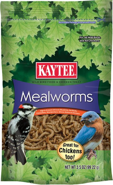 Kaytee Meal Worm Wild Bird Food, 3.5-oz bag slide 1 of 9