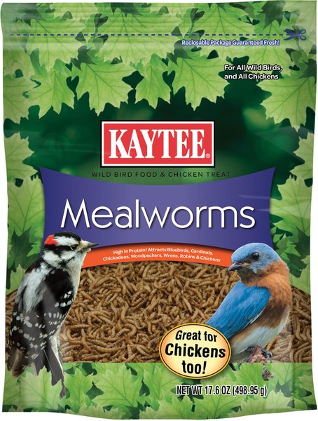 Kaytee Meal Worm Wild Bird Food, 17.6-oz bag slide 1 of 10