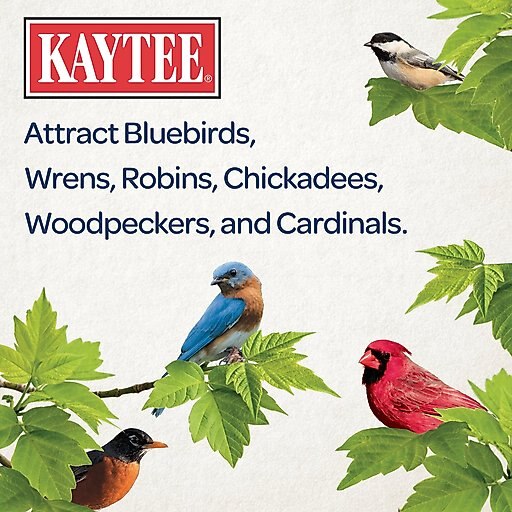 Kaytee Meal Worm Wild Bird Food, 17.6-oz bag