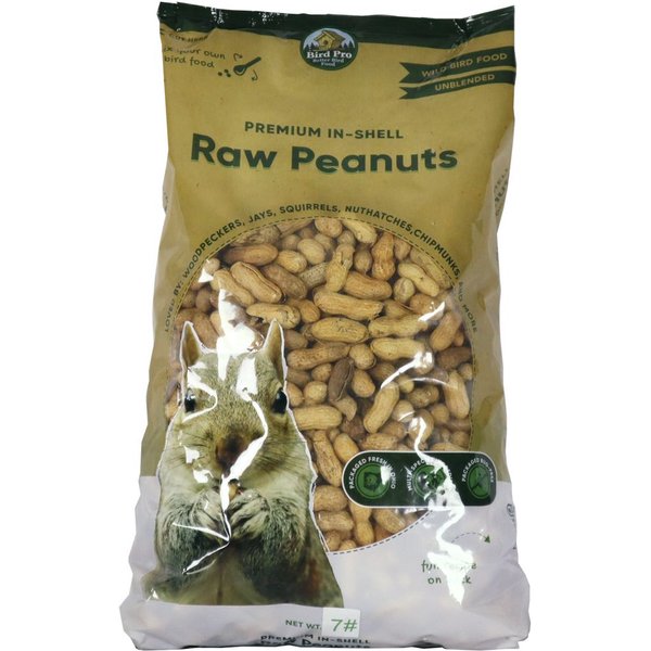 BROWN'S Song Blend UnsaltedInShell Whole Peanuts Wild Bird Food, 10lb bag