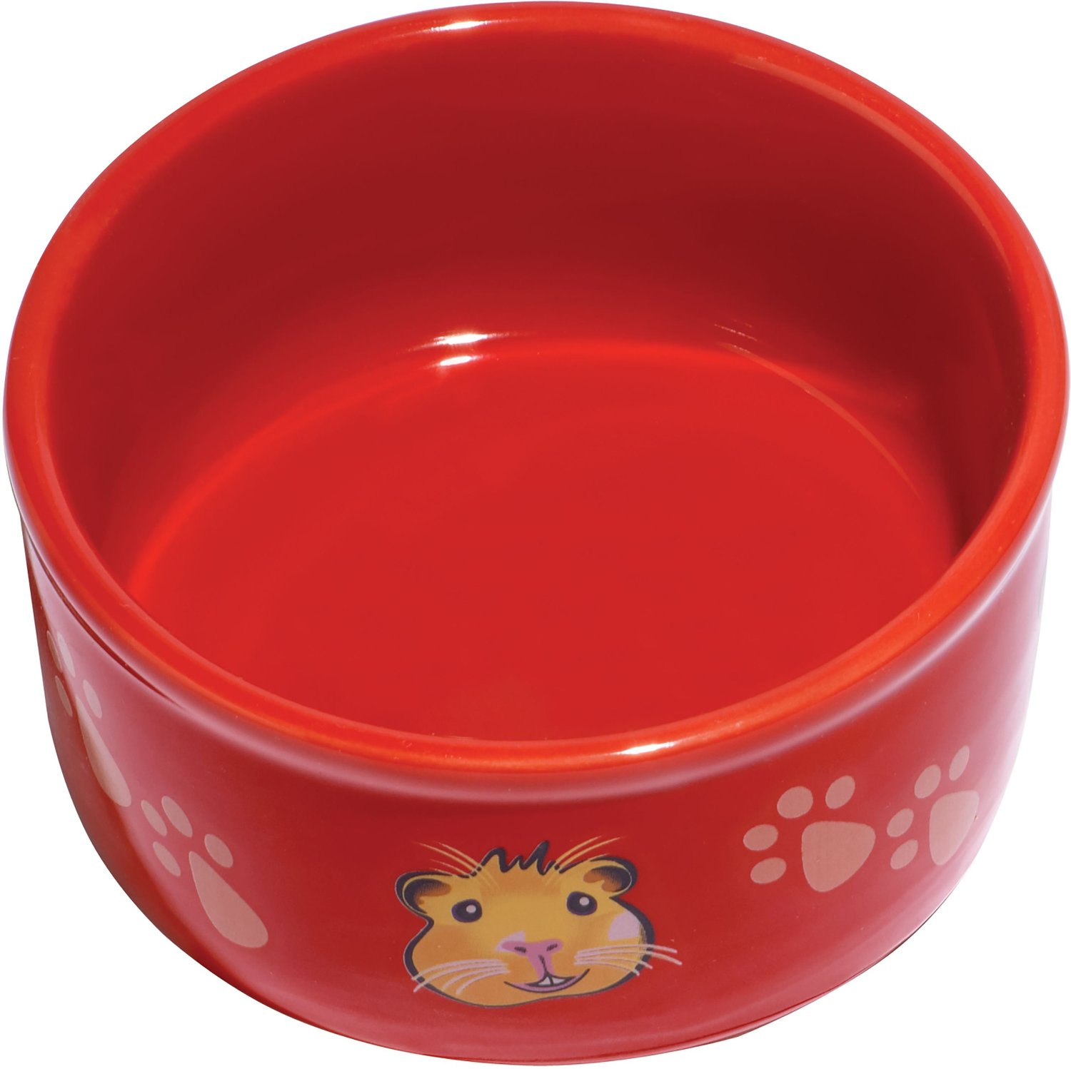 Best Ferret Water Bottles & Feeders 2023 According to Reviews Chewy