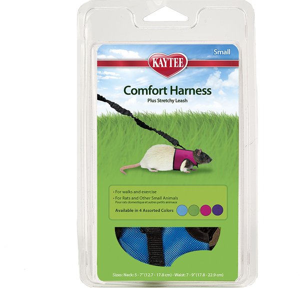 KAYTEE Small Animal Harness & Stretchy Leash, Small, Color Varies -  