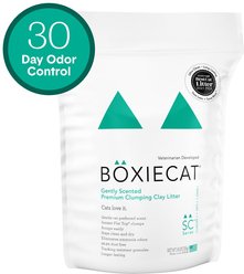 Boxiecat Gently Scented Premium Clumping Clay Cat Litter, 16-lb bag