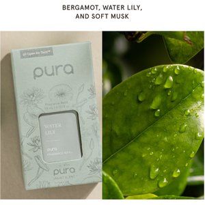 10 Best Cat Safe Air Fresheners 2024: According to Reviews Chewy