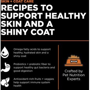 Go! Solutions Skin + Coat Care Salmon Recipe Dry Dog Food, 22-lb bag