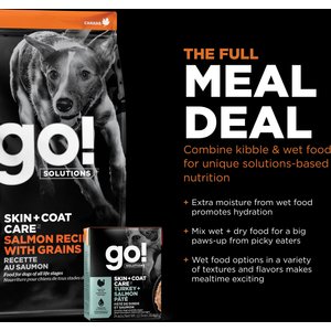 Go! Solutions Skin + Coat Care Salmon Recipe Dry Dog Food, 22-lb bag