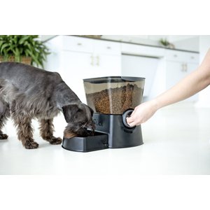 Gamma2 Nano Click Manual Pet Feeder, Black, 5-cup